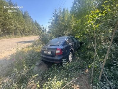    Фото: Госавтоинспекция Карелии