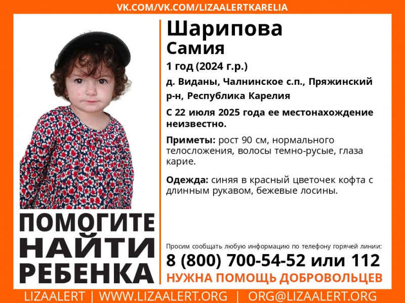    Годовалая девочка исчезла в Карелии«ЛизаАлерт» Карелия