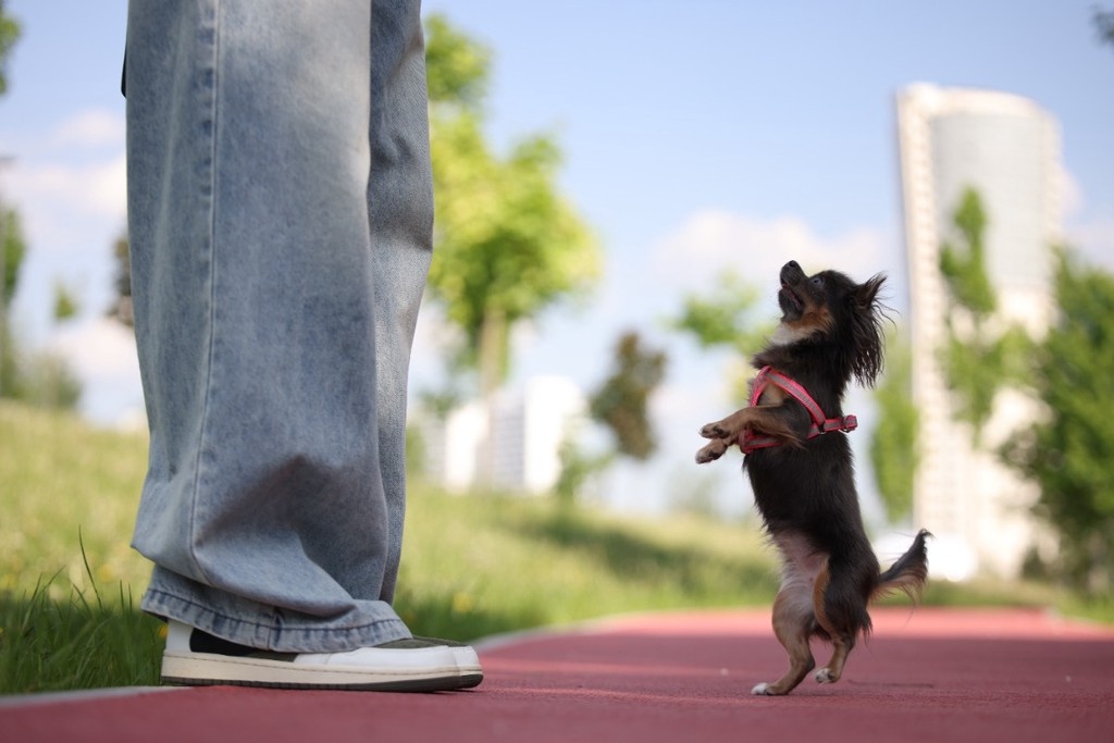    Фото © Анастасия Романова / Абзац