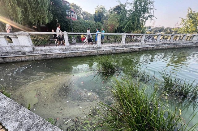   Фото из архива Калининград.Ru