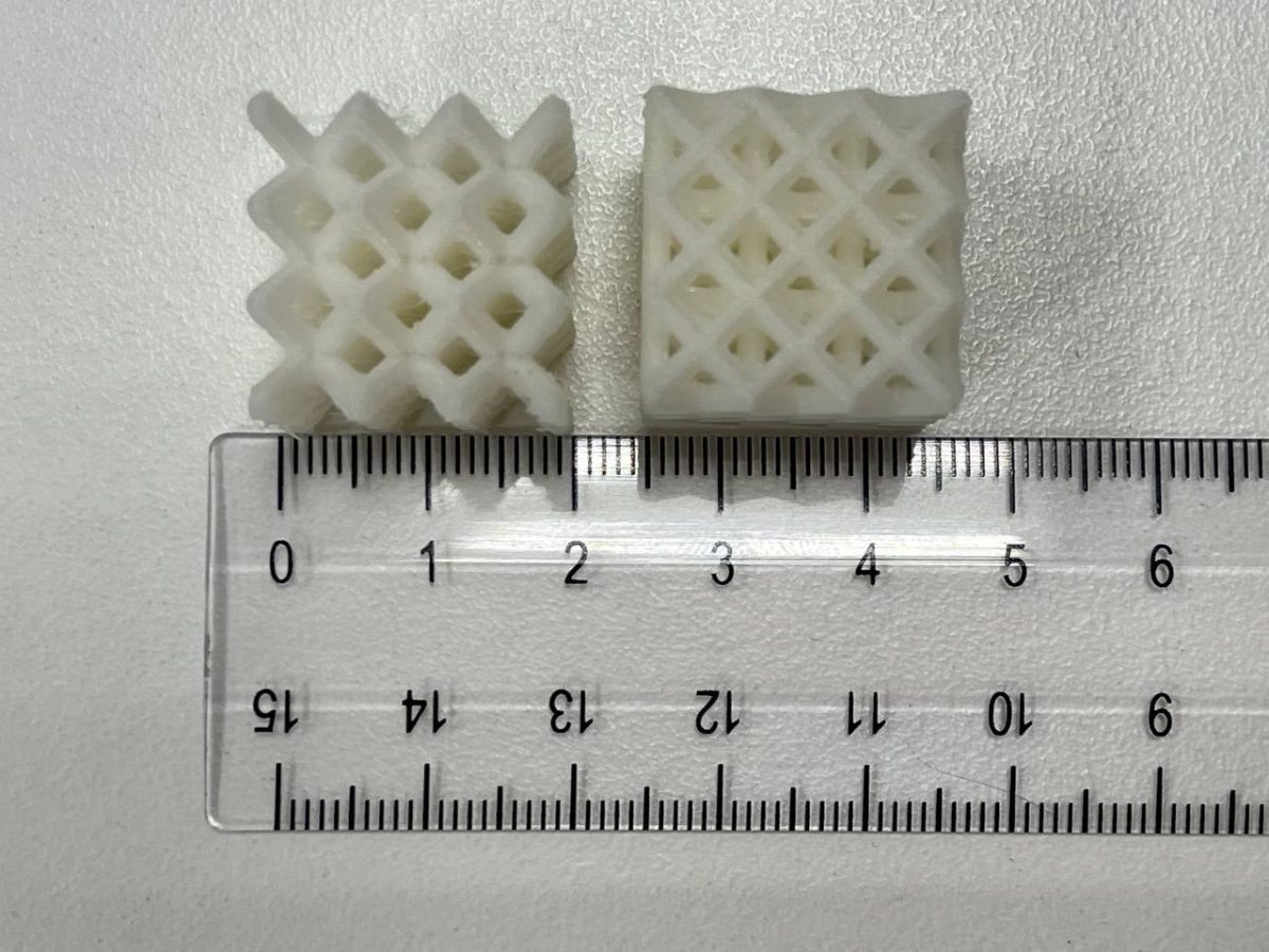    Смоделированный образец полилактида / © Илья Виндокуров, пресс-служба ПНИПУ