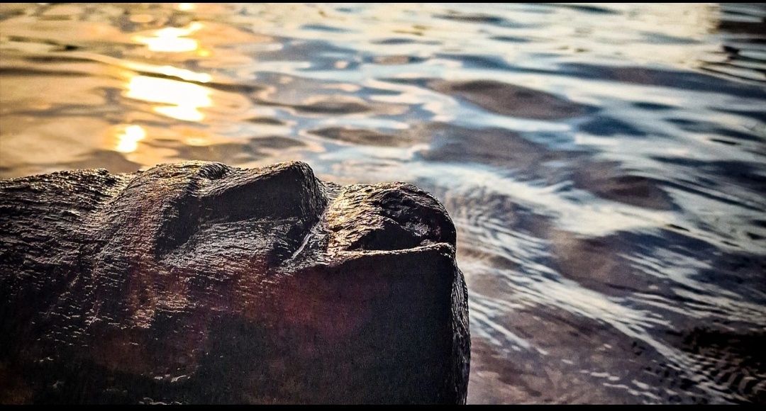 В 2024 году во время подводной экспедиции на озере Ледница археологи обнаружили деревянное лицо высотой 12 см и шириной 9 см. Лицо было вырезано на структурной балке, известной как «крюк», которая, вероятно, была частью оборонительного вала поселения.