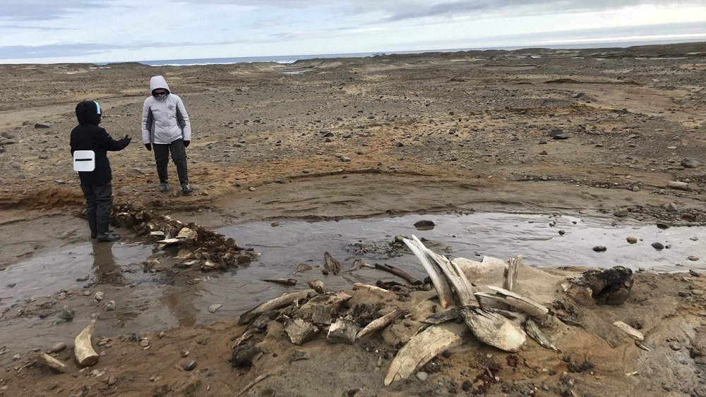     Фото: ААНИИ