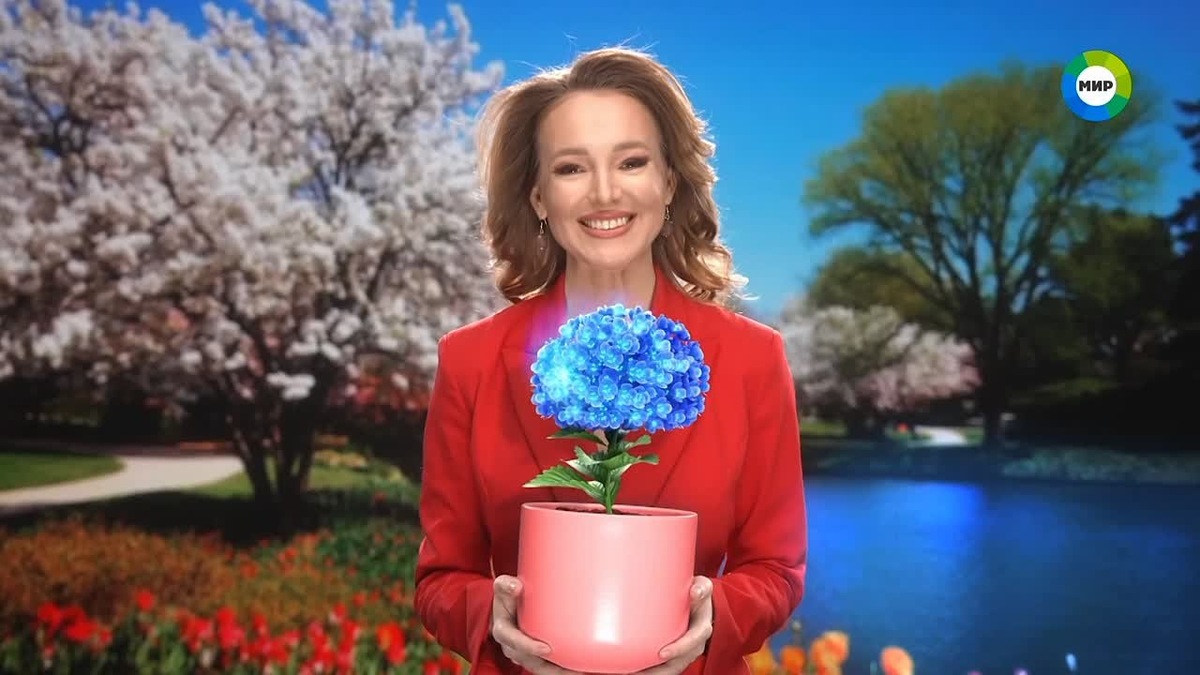 Заставки телеканала «Мир»