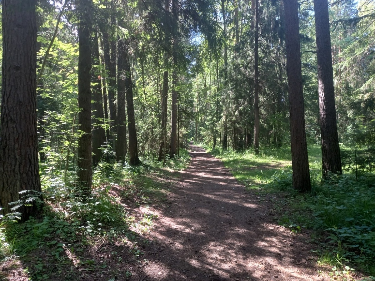    Фото: «Про Город»