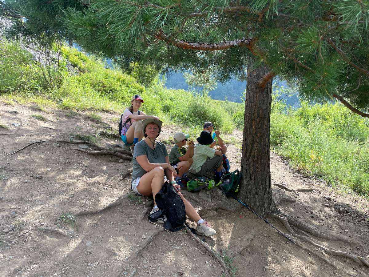 В жару приходится искать тень деревьев для отдыха