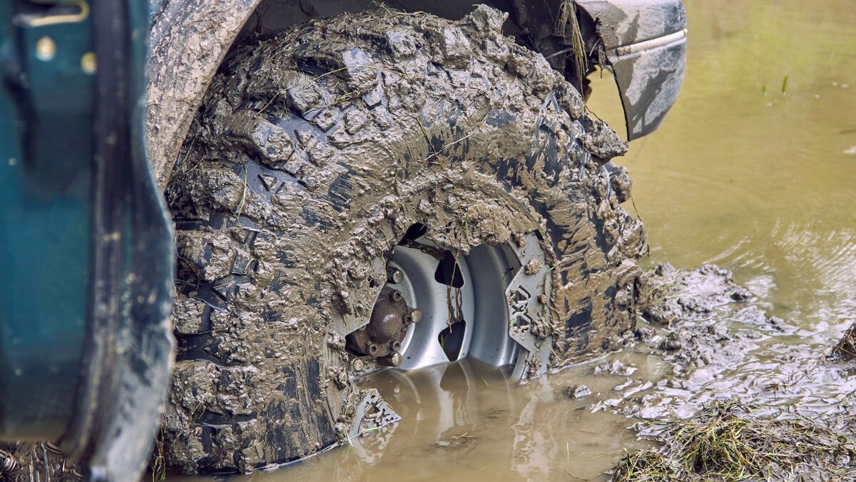    Фото: Aleksandr Finch / Shutterstock / Fotodom