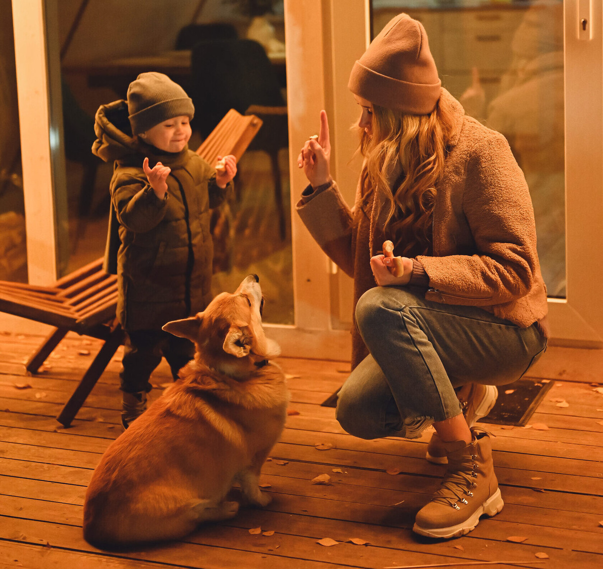 Можно с питомцами отдыхать в глэмпинге 35 км от Москвы