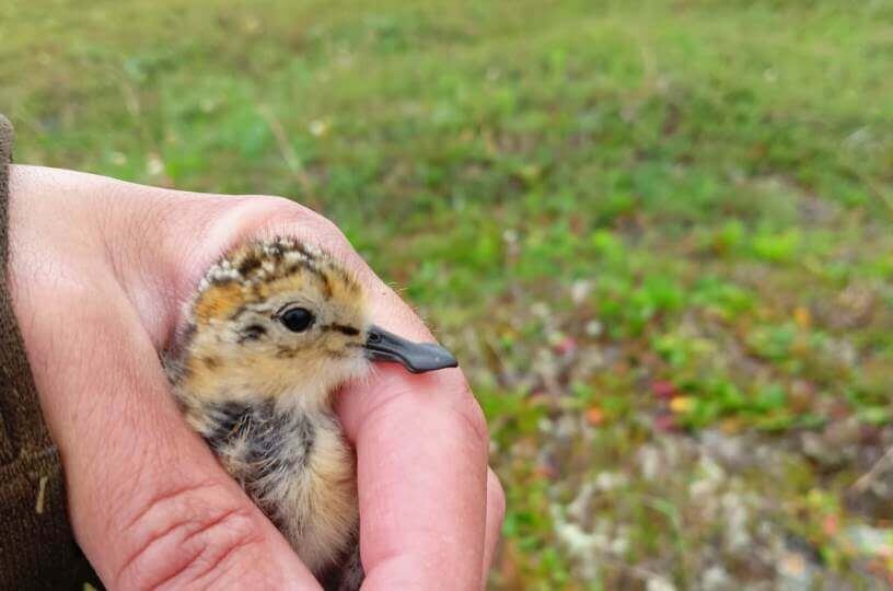    Фото: Елена Лаппо / РОСИП