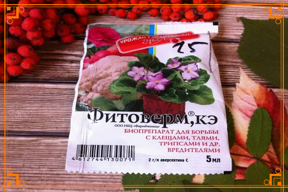 Фото из интернета. фитоверм применение, фитоверм как разводить, 