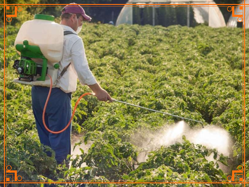 Фото из Интернета. От чего помогает Комондор