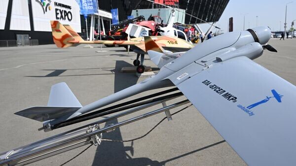    © Sputnik / Максим Богодвид