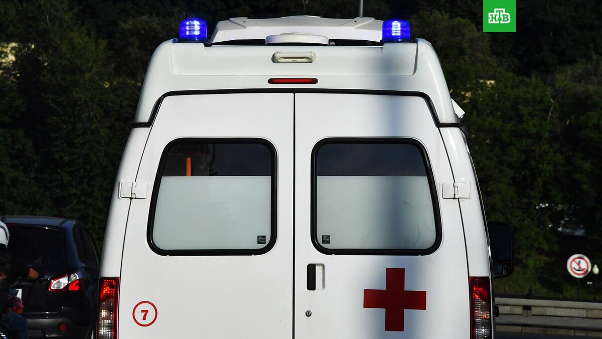    Фото: РИА Новости © 2025, Наталья Селиверстова