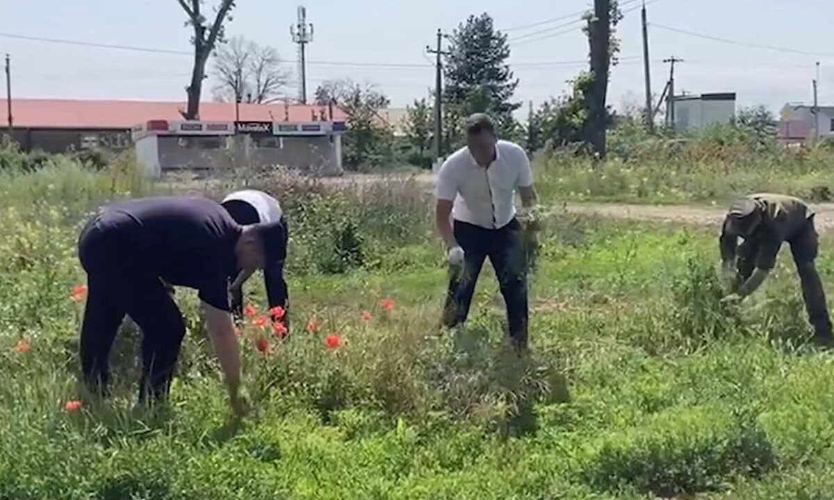    Фото пресс-службы ГУ МВД России по Краснодарскому краю