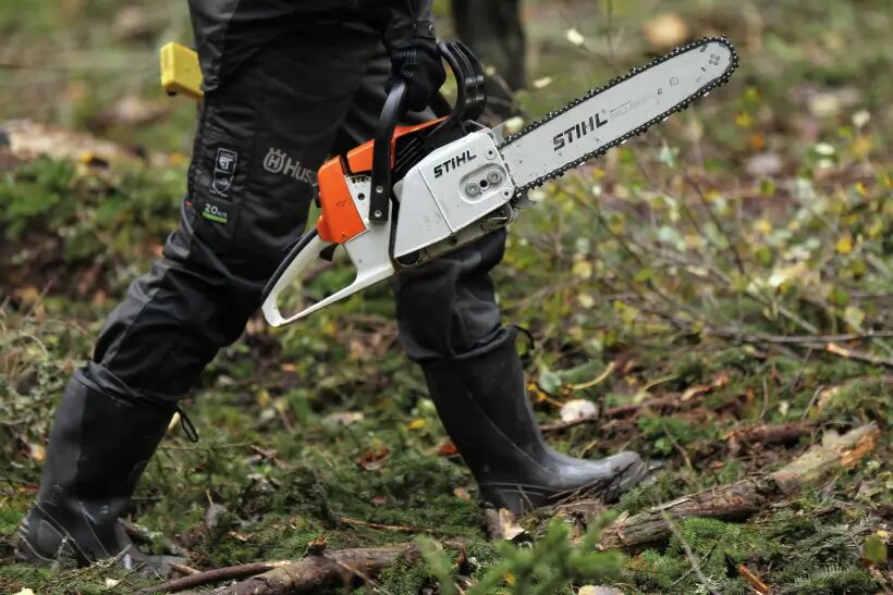     © РИА Новости Константин Чалабов