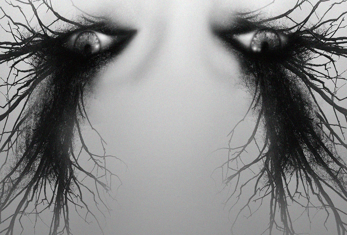 Фото: Shutterstock