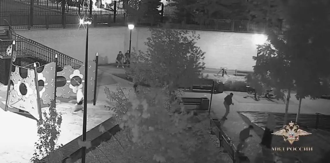    Фото: скриншот видео телеграм-канала официального представителя МВД России Ирины Волк