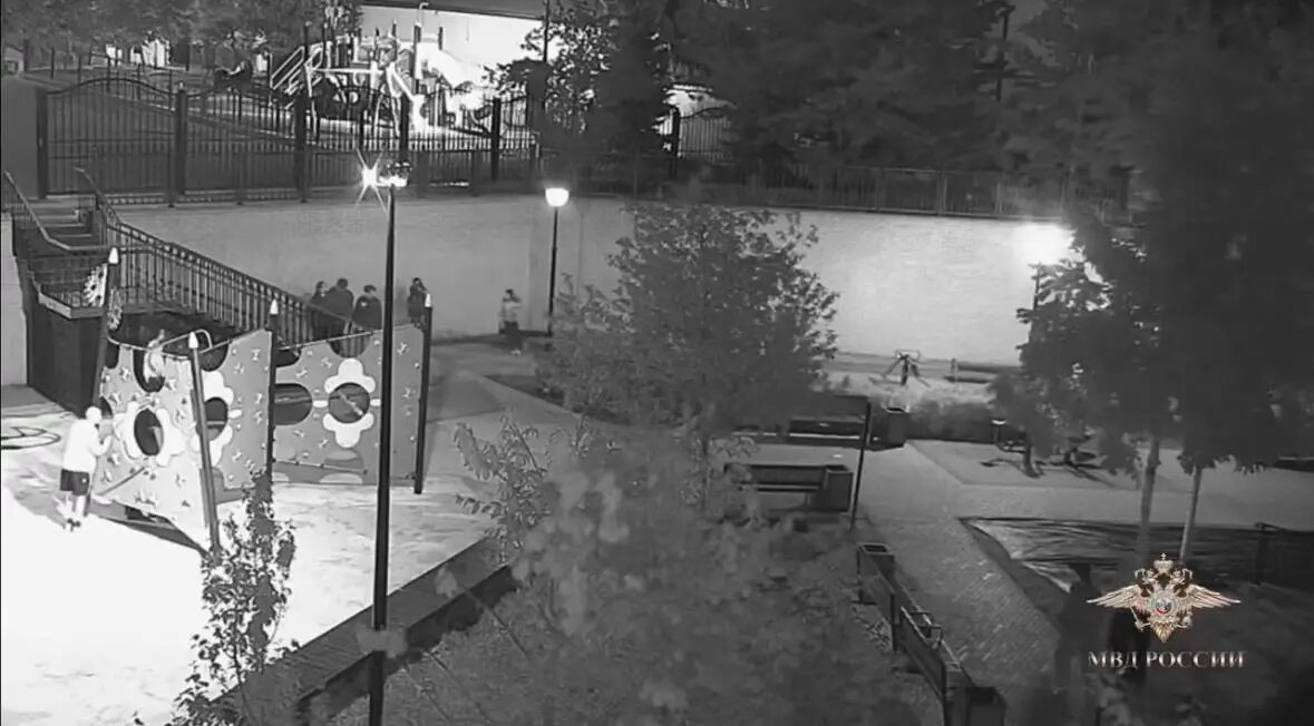    Фото: скриншот видео телеграм-канала официального представителя МВД России Ирины Волк