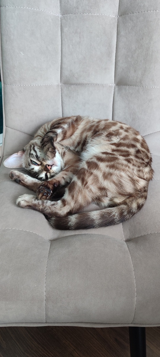 Наша конфетка сейчас