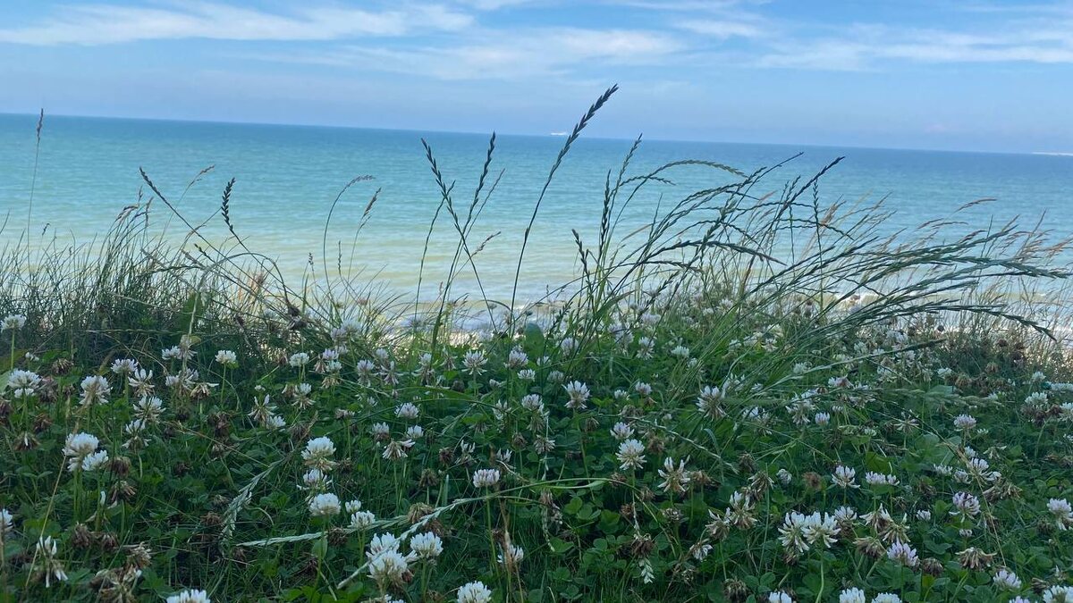 Балтийское море. Июль 2025.