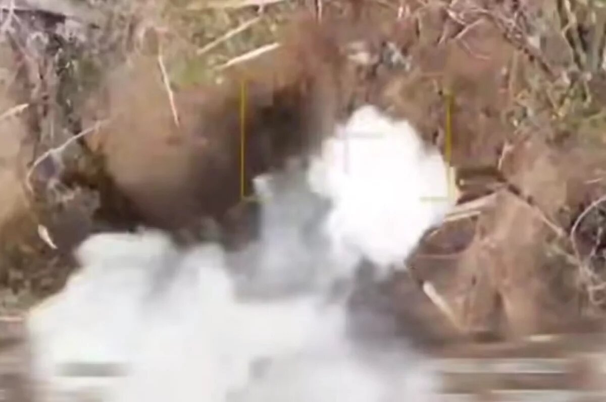    Потери ВСУ в последних боях в приграничье оказались массовыми.