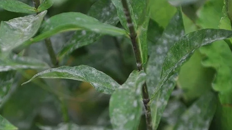 Для наглядности.