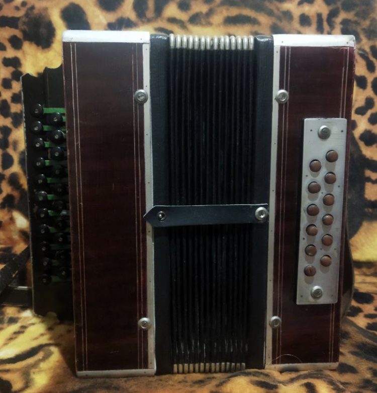 "Надо тебе такую штуку?" - спросил преждний владелец.