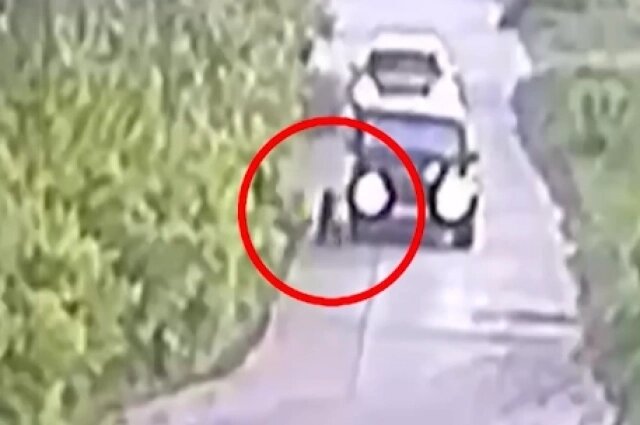    Есть версия, что мальчика могли толкнуть под колёса иномарки. Фото: РЕН-ТВ