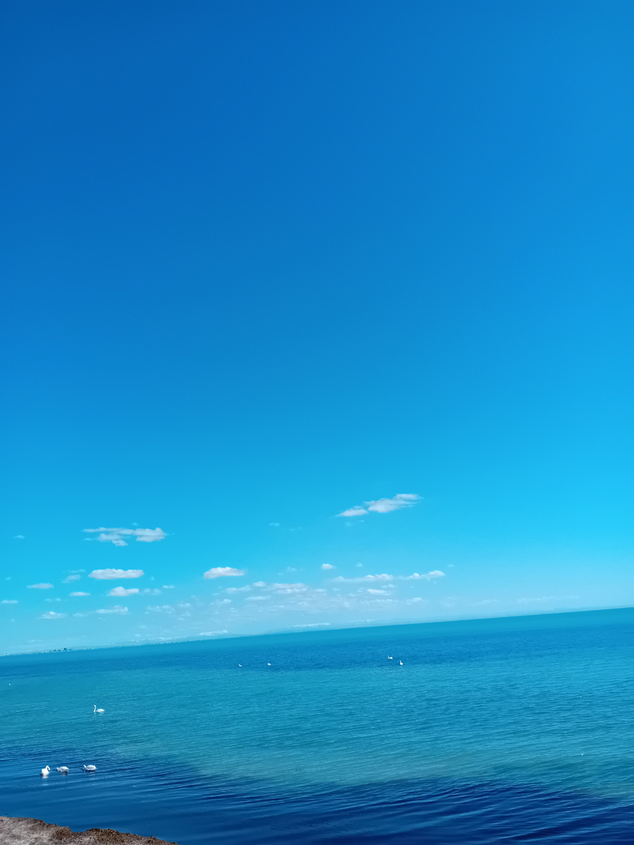 Авторское фото.