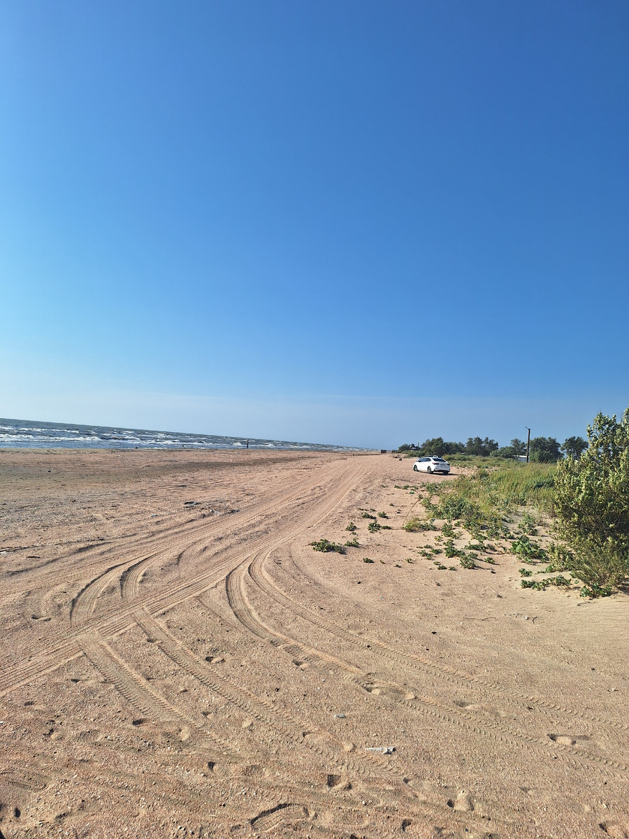 Фото принадлежит Мама знает