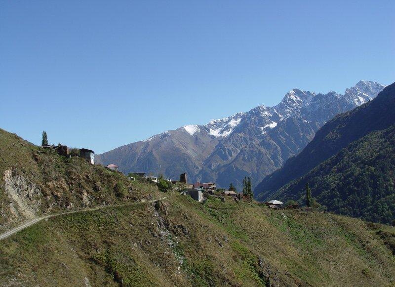    Фото: открытый источник