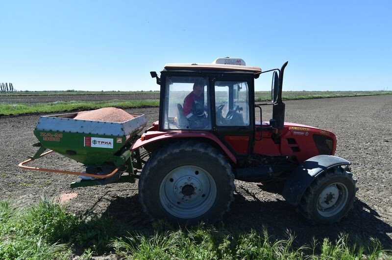     / Источник: © ИЗВЕСТИЯ/Александр Полегенько