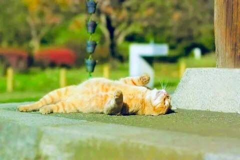 Солнце - друг или враг?