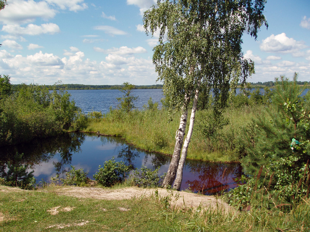 2005 г.