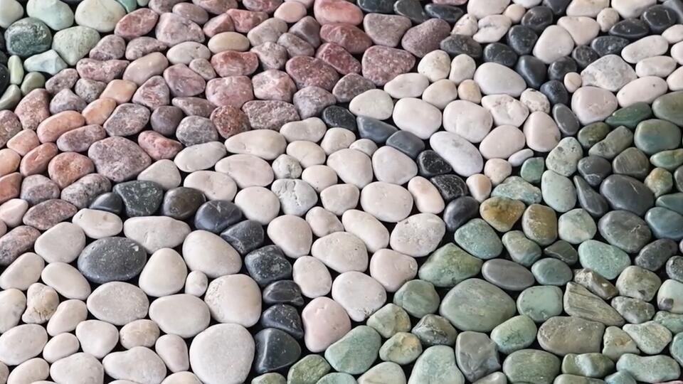 Фото: © Кадр из программы "Купи-продай", РЕН ТВ