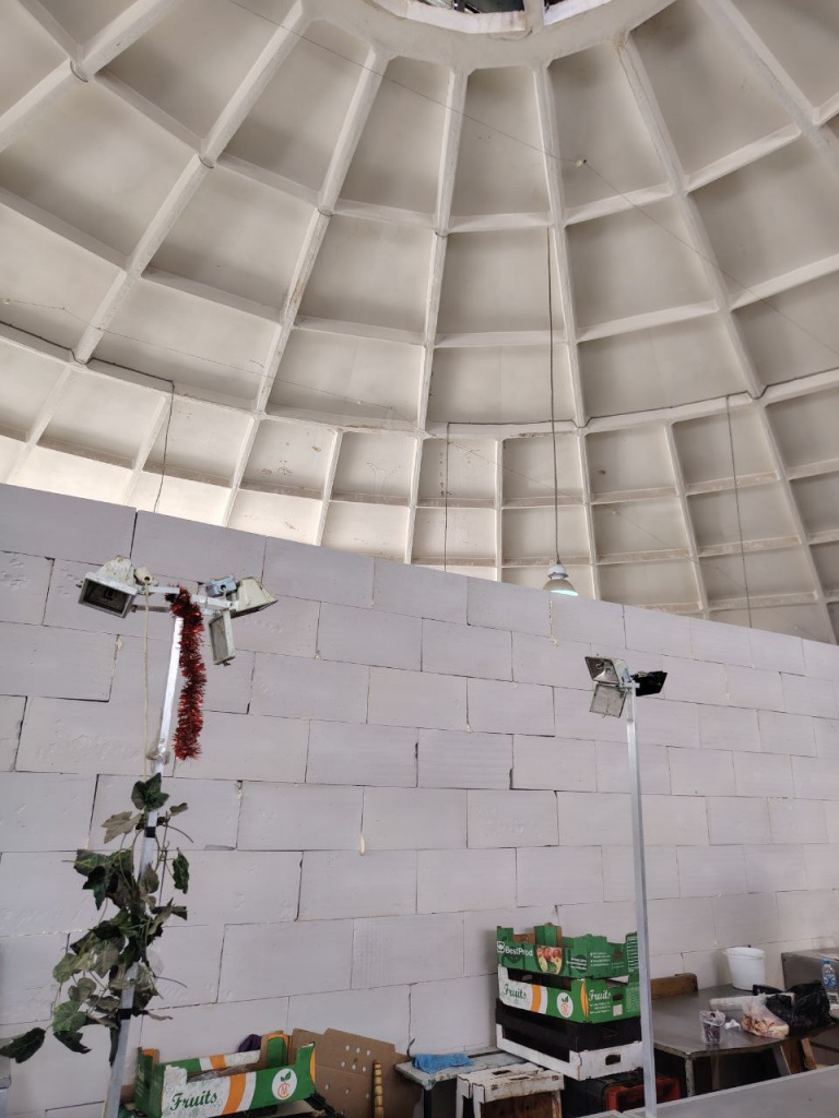    photo_2025-07-22_13-08-33 (2)