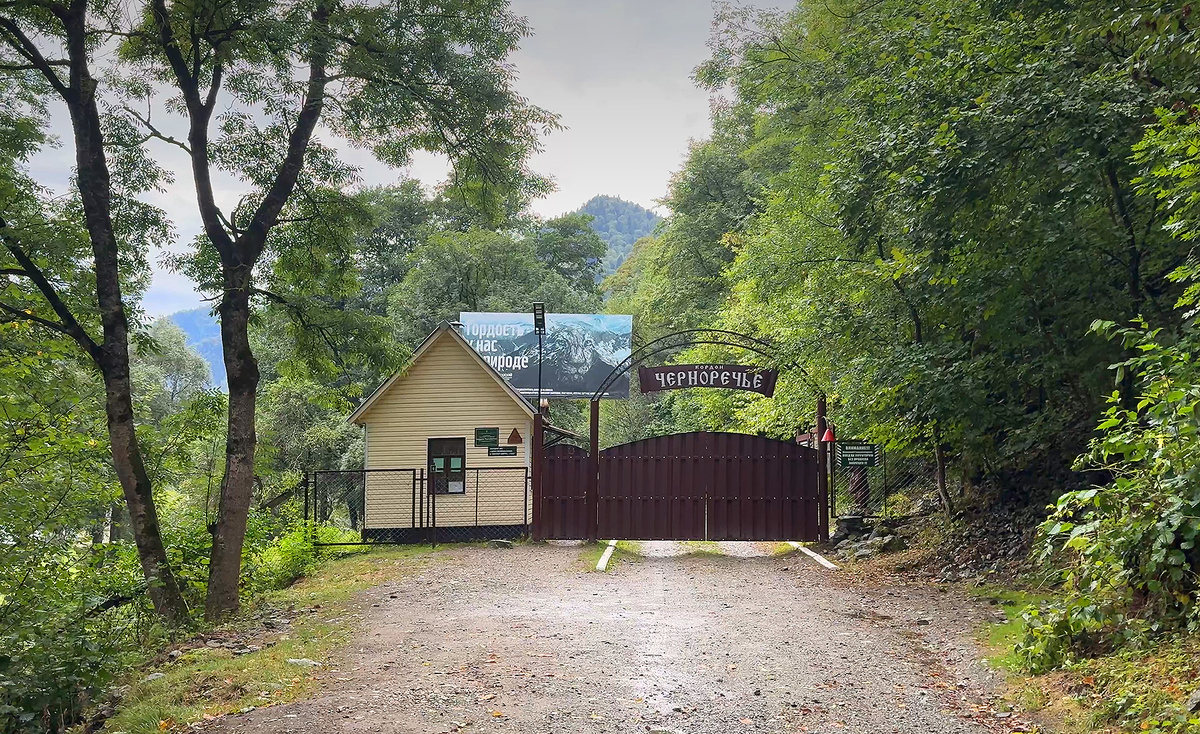 Кордон Черноречье