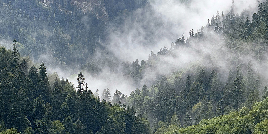 От Черноречья до Пслуха по Кавказской тропе