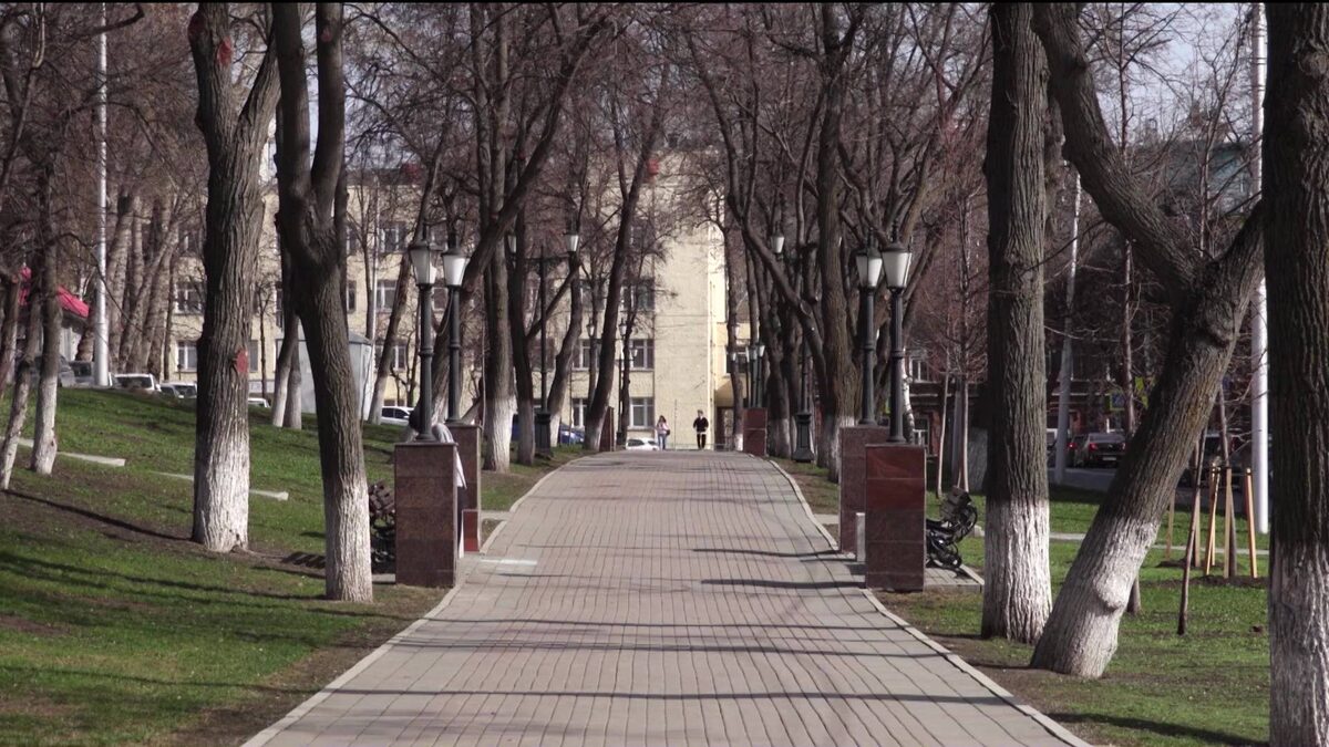    Лесоводы Башкортостана проводят агротехнический уход за лесами