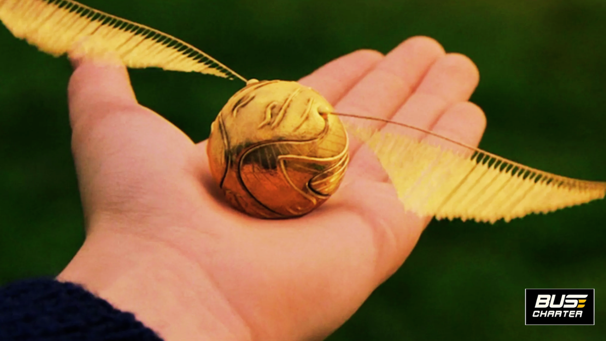 Бюджетные туры из Москвы по России 2025, Куда поехать с детьми на выходные 2025 (фото взято из сети Интернет)