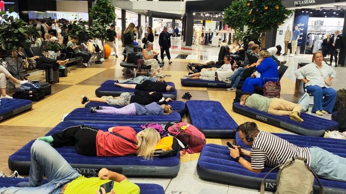    Фото: Telegram / Шереметьево