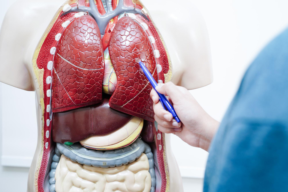 Что происходит с телом, пока вы курите. (Источник изображения freepik.com)