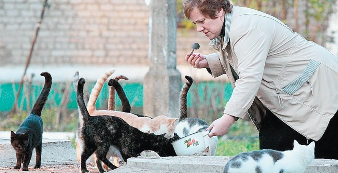    Фото: imerica.ru