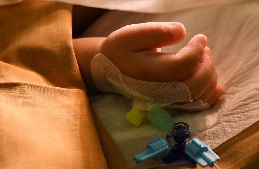     / Источник: © Илья Наймушин/РИА Новости