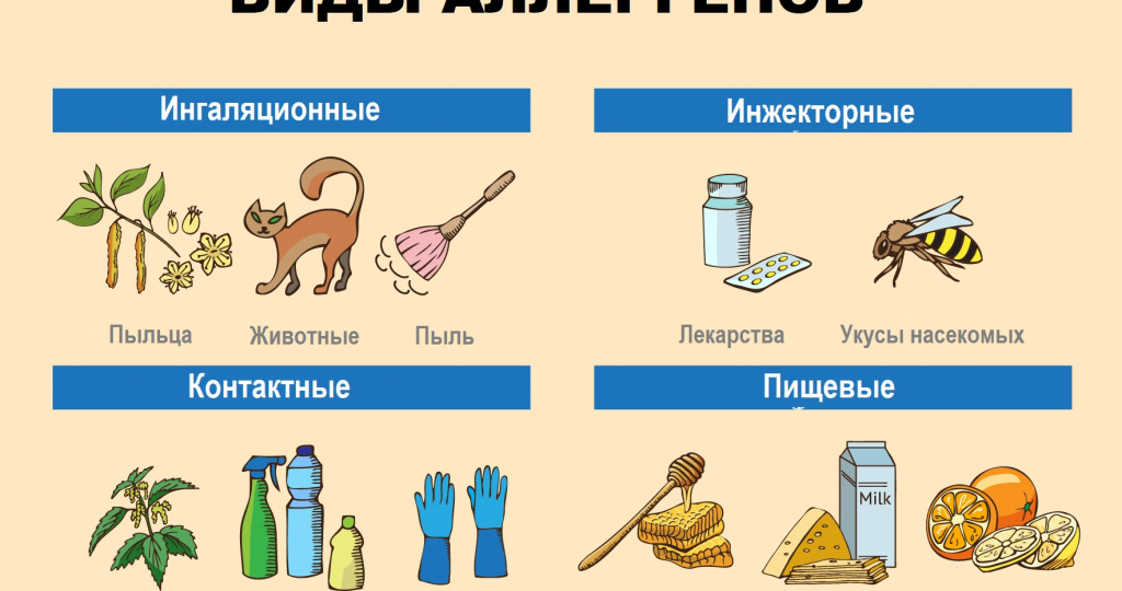 Аллергия: что делать, когда иммунитет становится «параноиком»