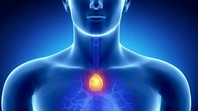 Здесь наша Спарта - обучение юных клеток иммунитета на распознавание угроз