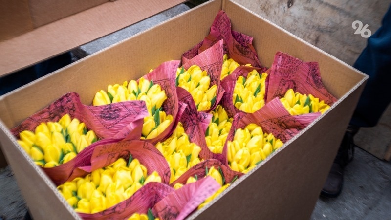      Фото: ИА «Победа26»