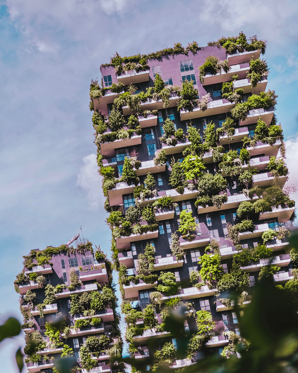 Автор: Алексей Моисеев / @partyzzzan