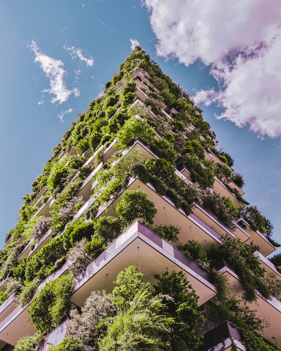 Автор: Алексей Моисеев / @partyzzzan