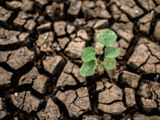    засуха // фото: Изображение от jcomp на Freepik